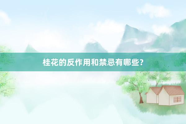 桂花的反作用和禁忌有哪些？